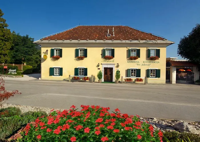 Guesthouse Avsenik