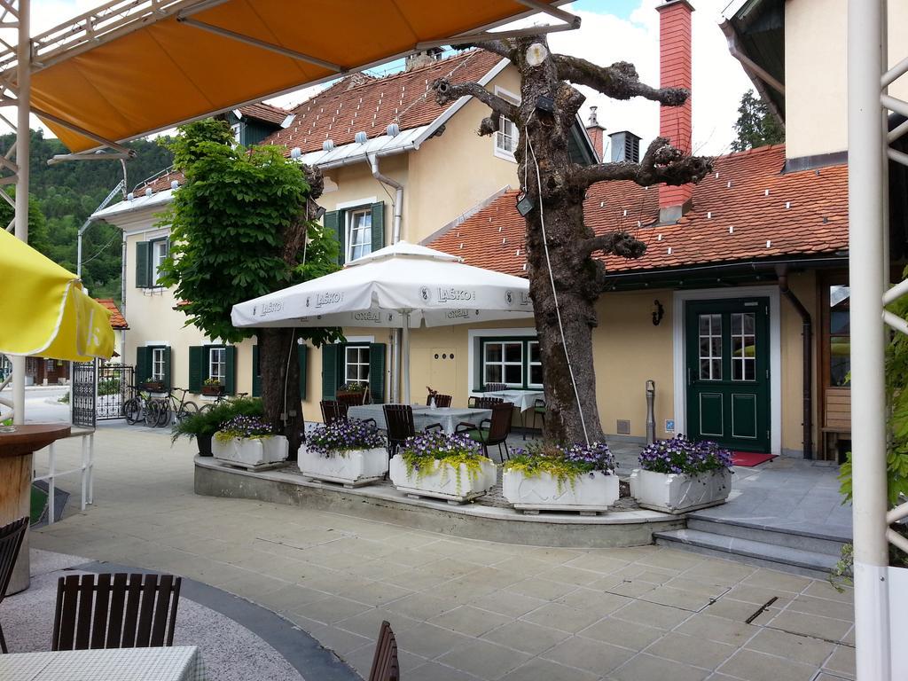 Avsenik *